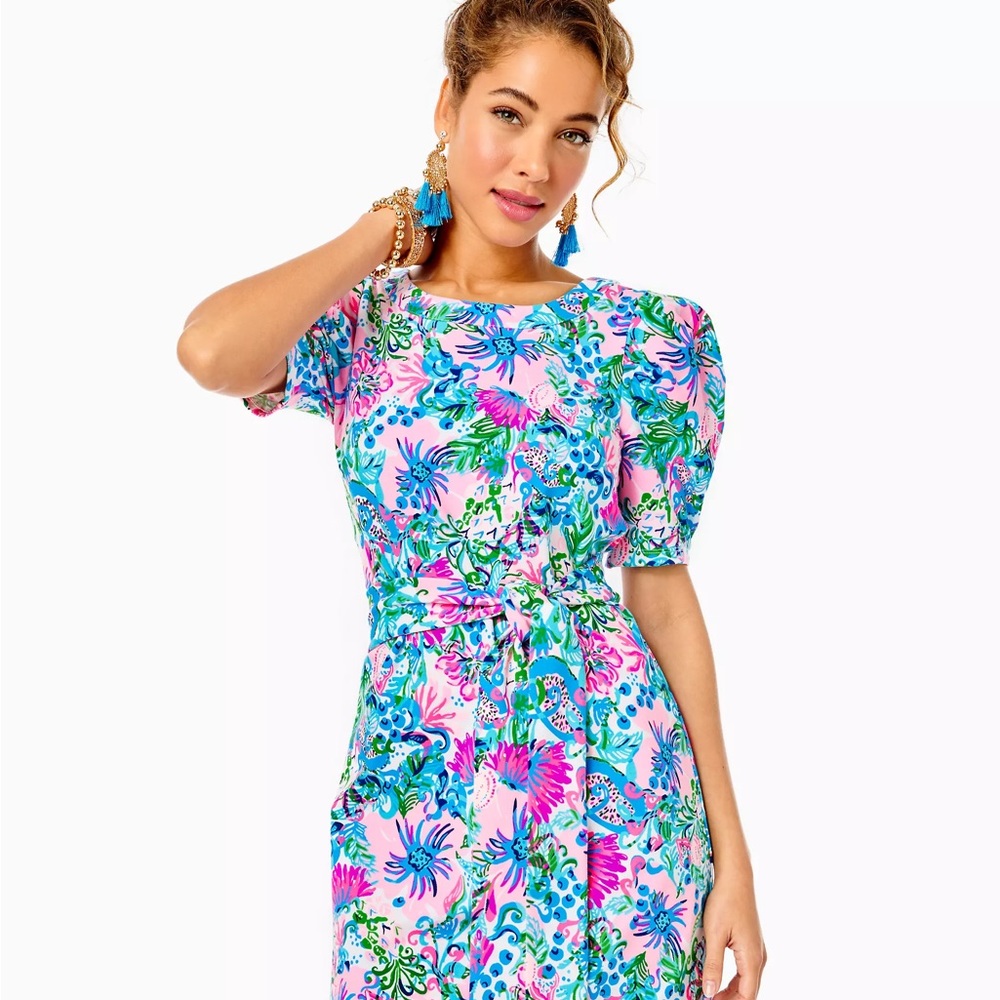 Lilly Pulitzer Harriet Dress.
